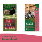 A new look for Burgess Excel
