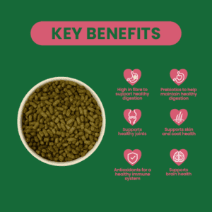 Excel Mature Rabbit Nuggets with Cranberry | Burgess Pet Care