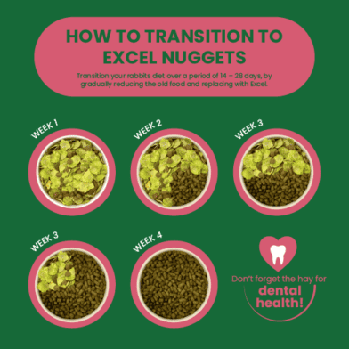 Excel Mature Rabbit Nuggets with Cranberry | Burgess Pet Care