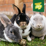 Excel Mature Rabbit Nuggets