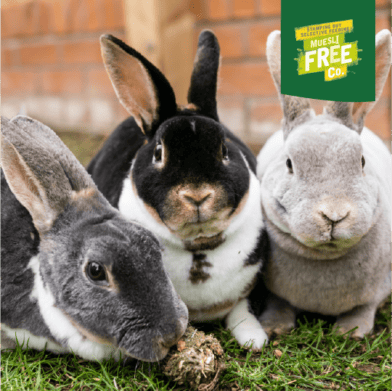 Excel Mature Rabbit Nuggets with Cranberry | Burgess Pet Care