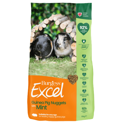 Featured Product
