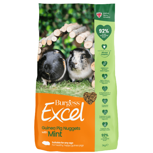 Featured Product