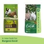 A new look for Burgess Excel