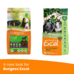 A new look for Burgess Excel