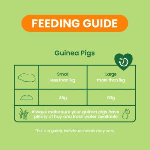 Excel Guinea Pig Mint Feeding Guide