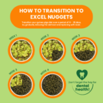 How to transition to Excel Guinea Pig Nuggets