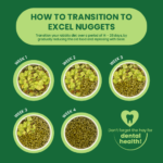 Excel Adult Rabbit with Mint Transition