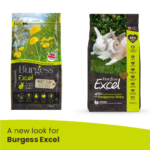 A new look for Burgess Excel