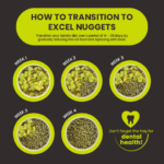 How to transition to Excel Rabbit Nuggets
