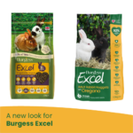 A new look for Burgess Excel