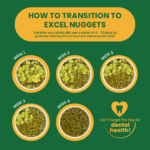 How to transition to Excel nuggets