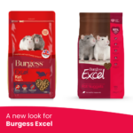 A new look for Burgess Excel