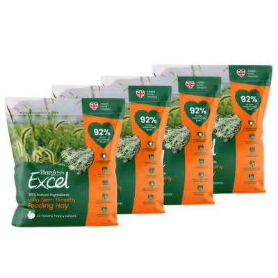 Product image for Excel Long Stem Hay Bundle 4kg