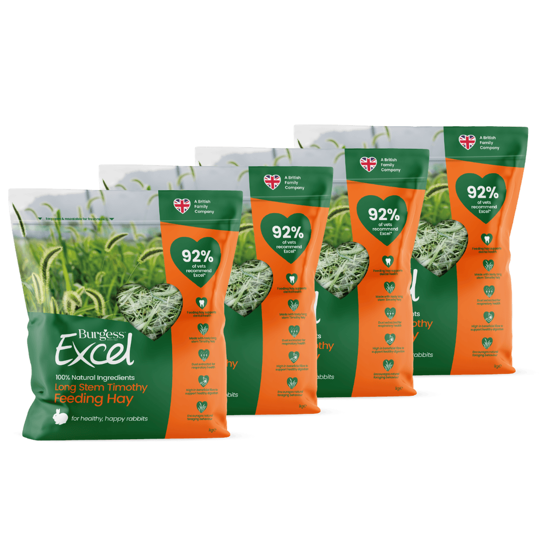 Excel 4kg Long Stem Hay bundle Burgess Pet Care