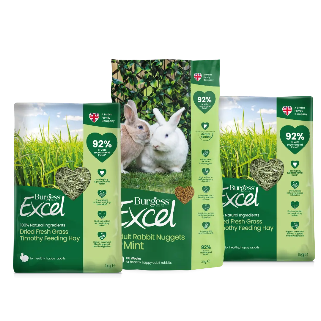 Excel Rabbit Nugget with Mint and Dried Fresh Grass Bundle product image