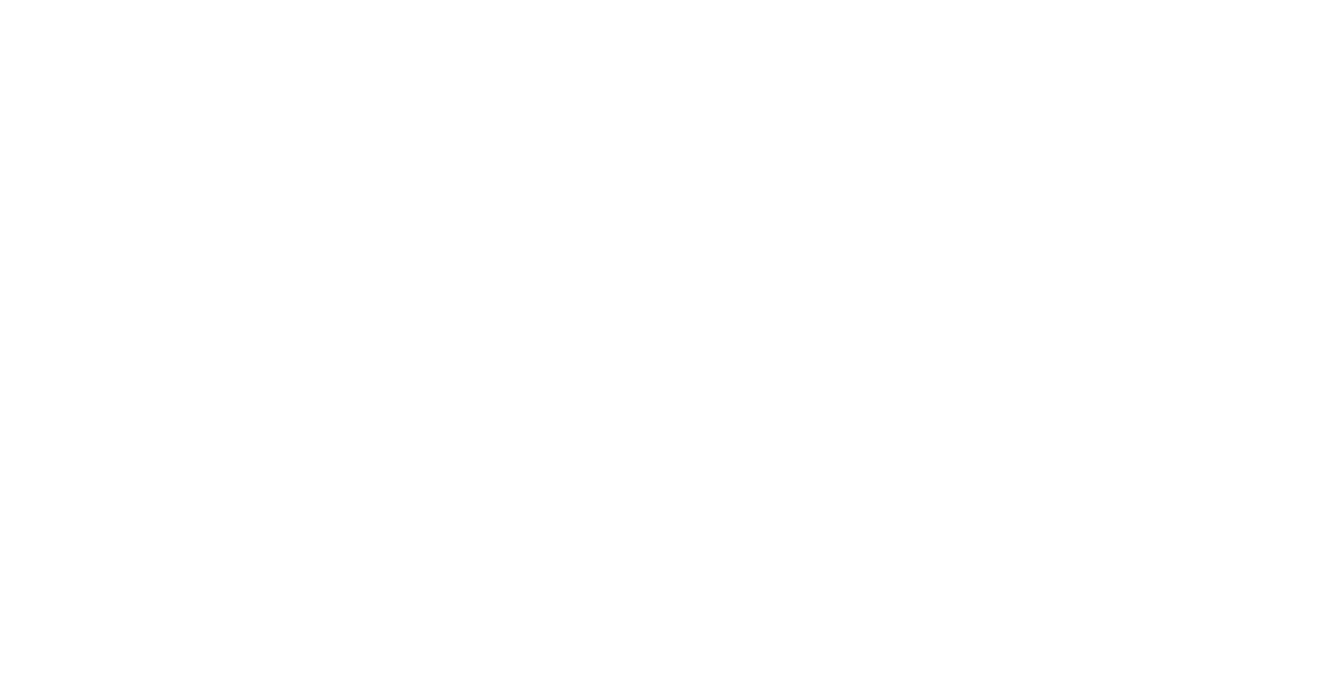 Burgess Excel logo