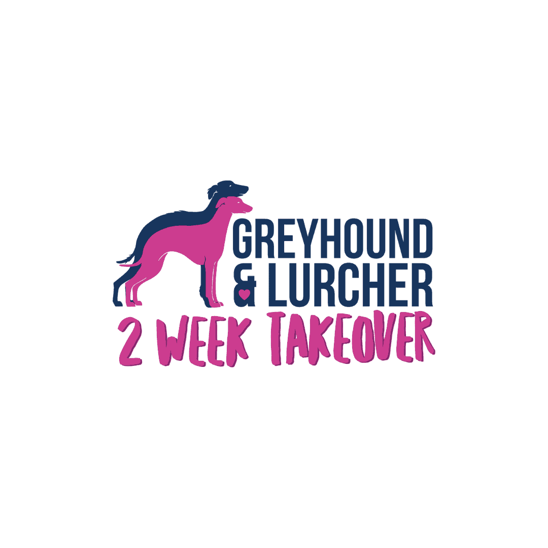 Greyhound and Lurcher Two-Week Takeover