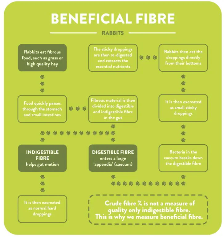 beneficial fibre