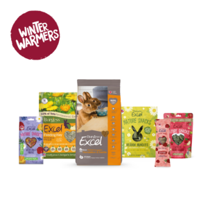 Indoor Rabbit Bundle