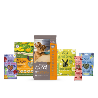 Indoor Rabbit Bundle | Burgess Pet Care