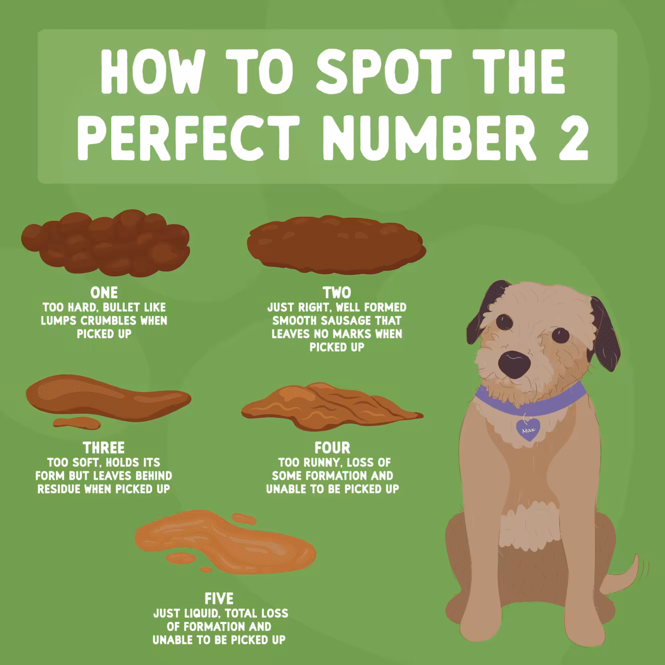 perfect number 2 no logo 01