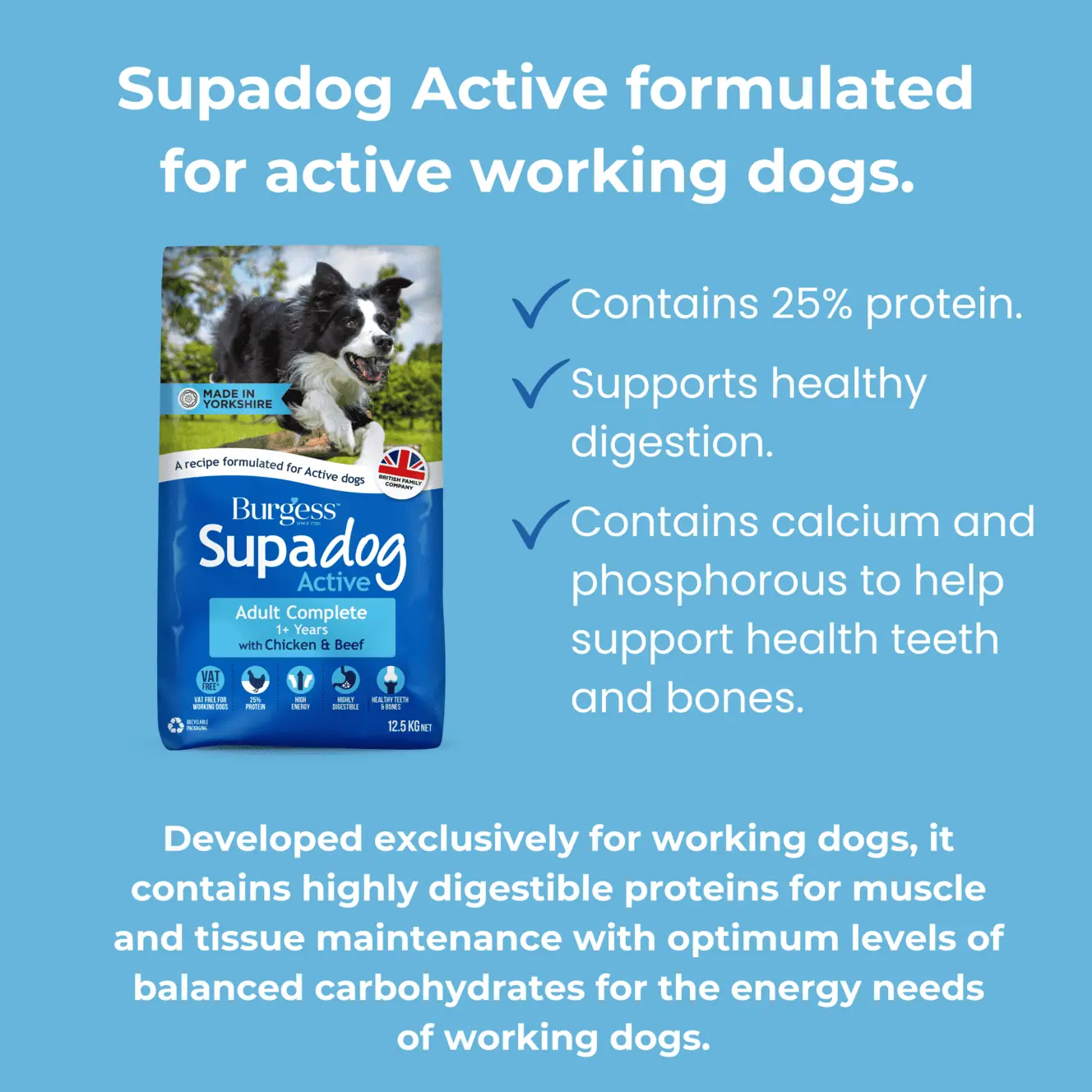 supadog active