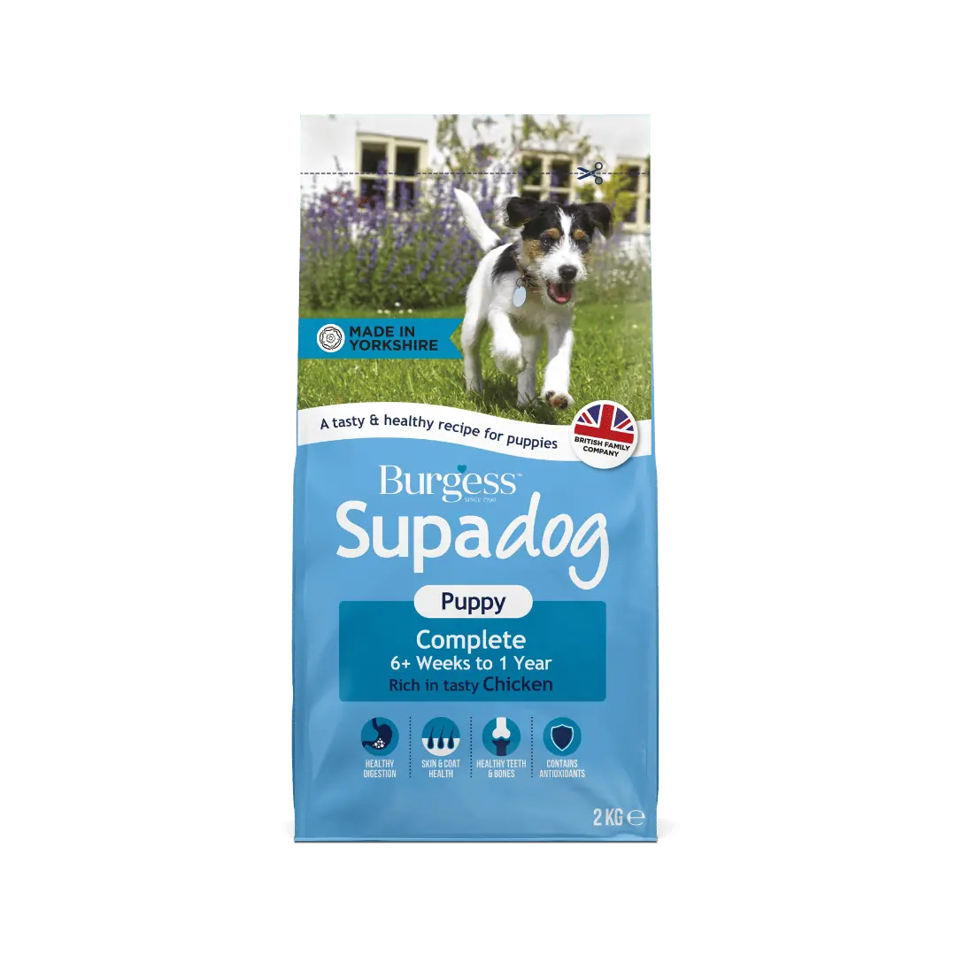 supadog puppy