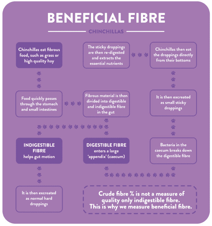 beneficial fibre