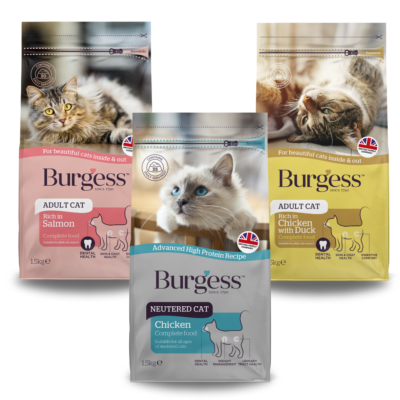 Adult Cat Bundle product image