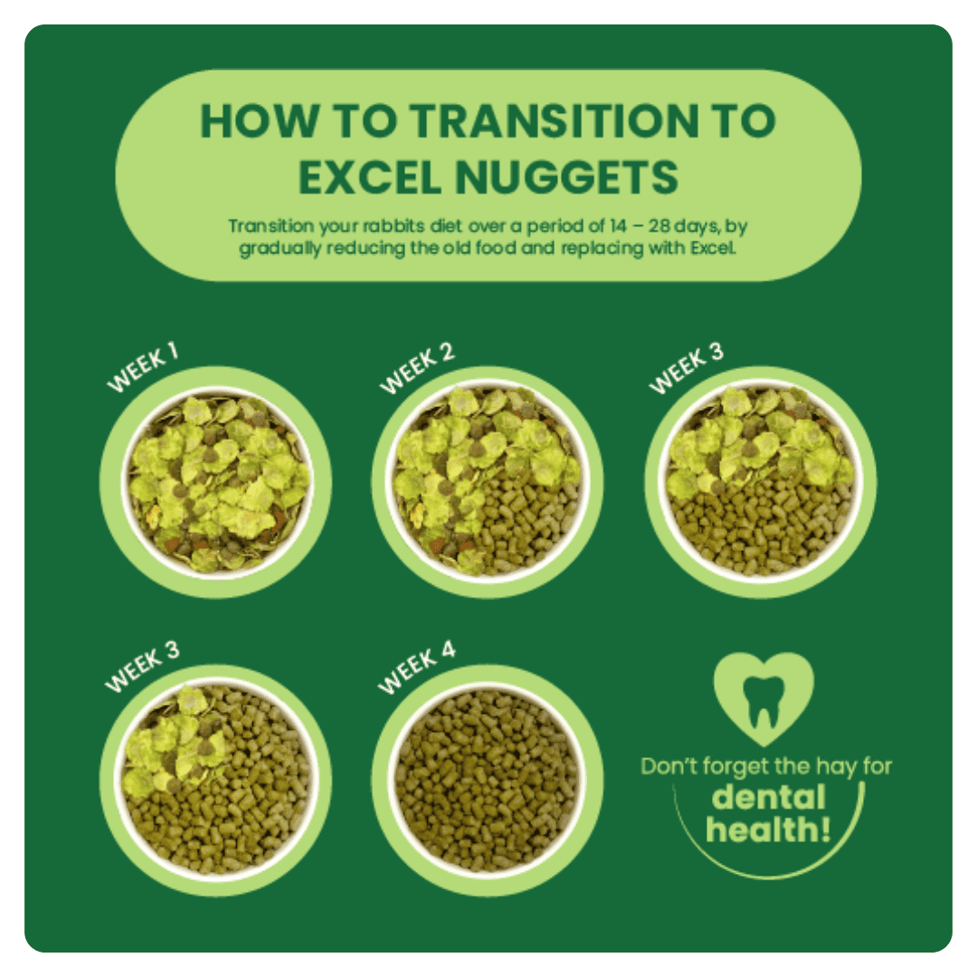 Excel Adult Rabbit Nuggets with Mint product image