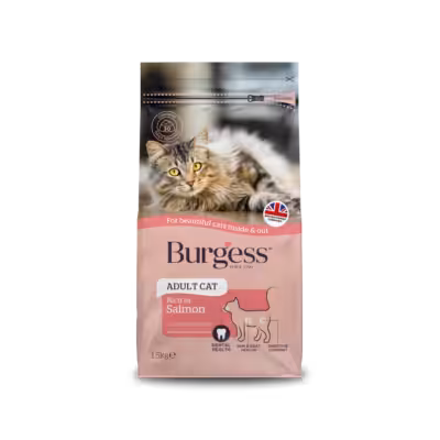 Product image for Adult Cat Food Rich in Salmon
