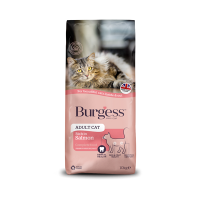 Product image for Adult Cat Food Rich in Salmon – 10kg