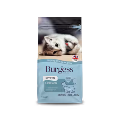 Product image for Kitten Food With Chicken