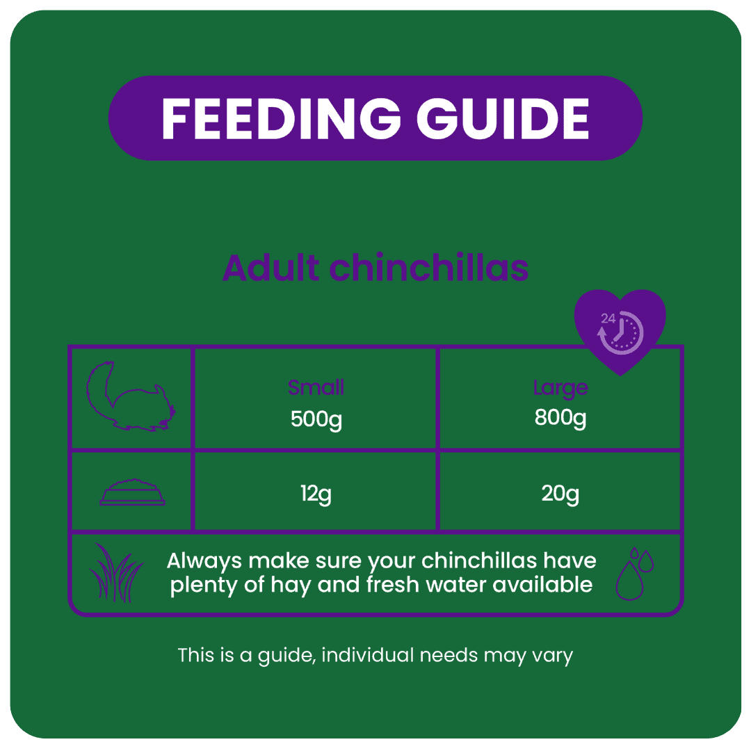 Excel Chinchilla Nuggets with Mint product image