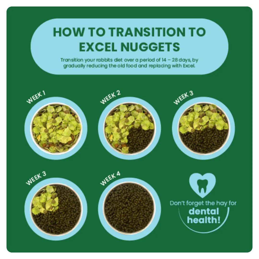 Excel Junior & Dwarf Rabbit Nuggets with Mint product image