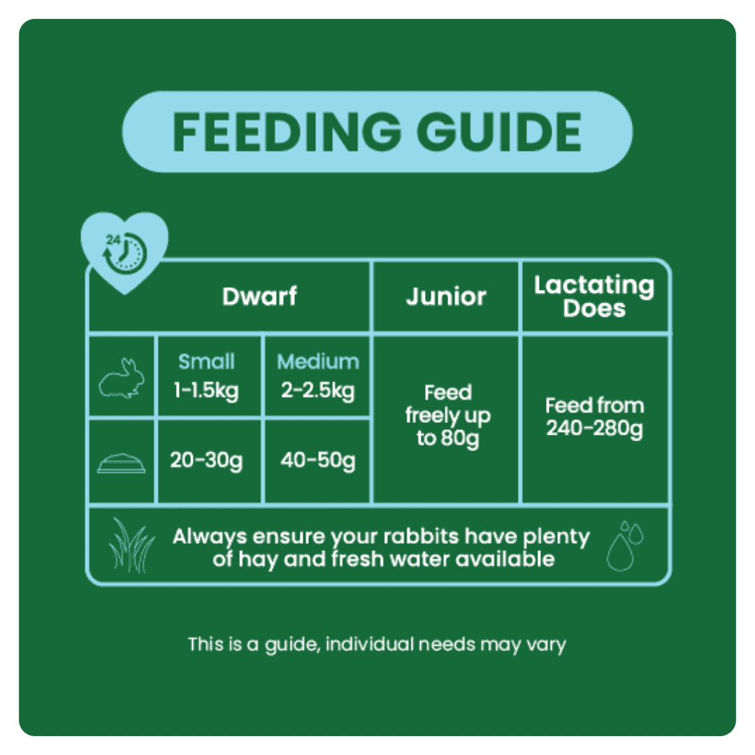 Excel Junior & Dwarf Rabbit Nuggets with Mint product image