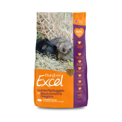 Product image for Excel Guinea Pig Nuggets with Blackcurrant & Oregano