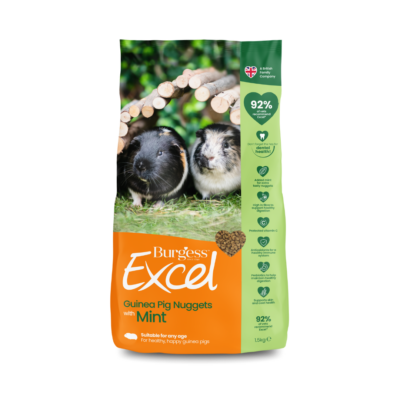 Excel Guinea Pig Nuggets with Mint product image