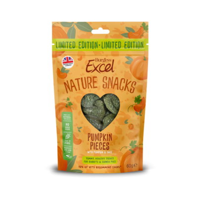 Excel Pumpkin Pieces product image