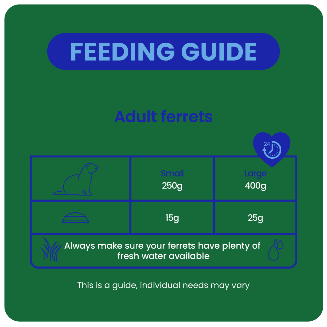 Excel Ferret Nuggets product image