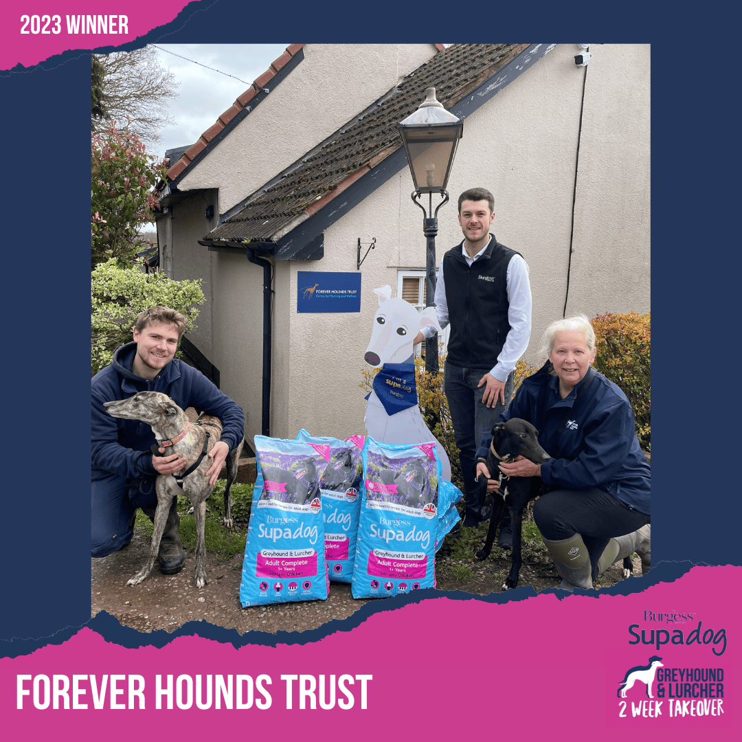 forever hounds trust