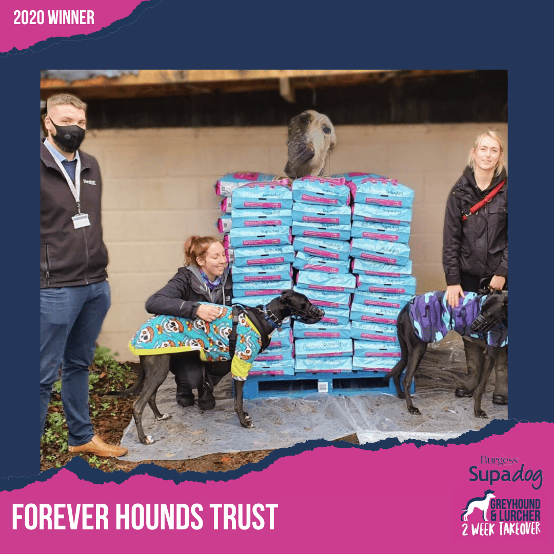 forever hounds trust