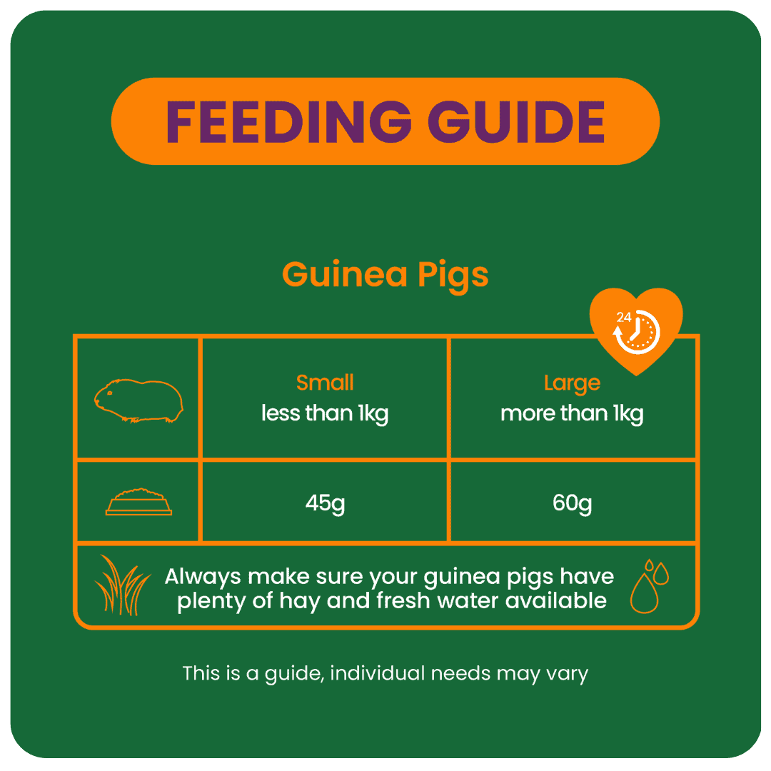 Excel Guinea Pig Nuggets with Blackcurrant & Oregano product image