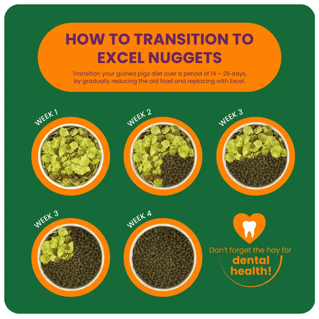 Excel Guinea Pig Nuggets with Blackcurrant & Oregano product image