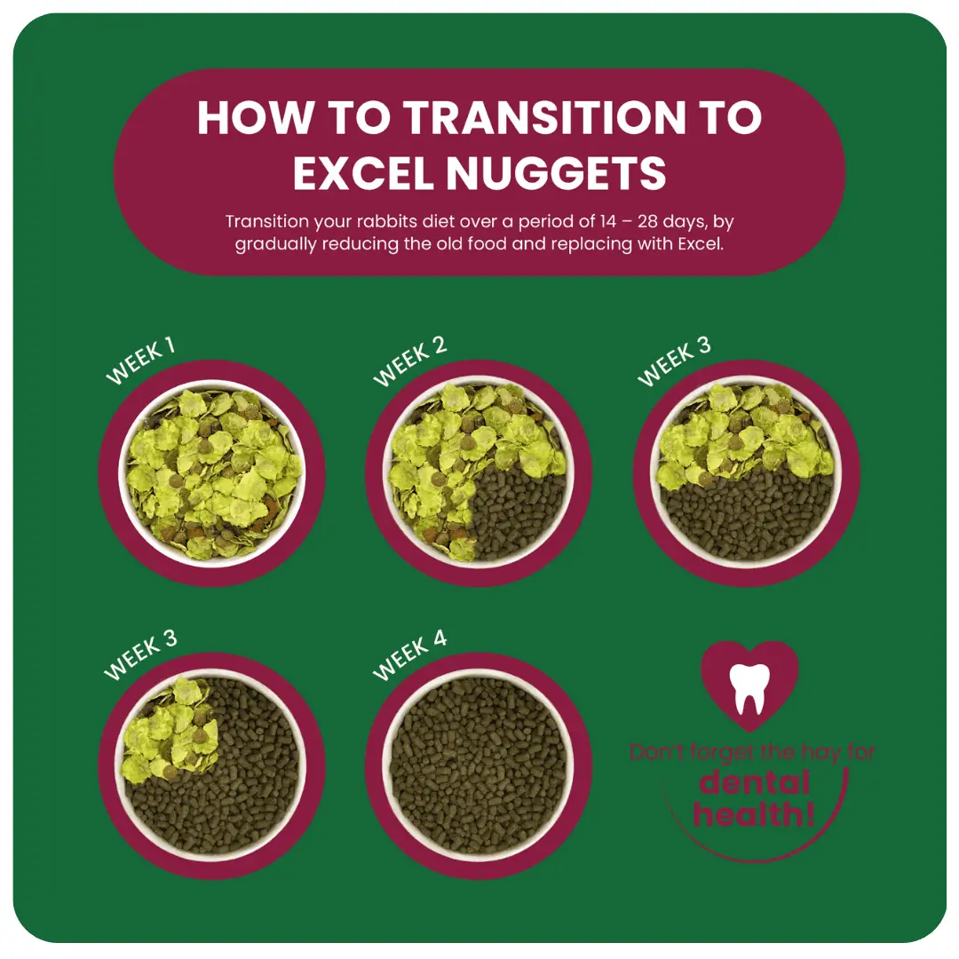 Excel Indoor Guinea Pig Nuggets product image