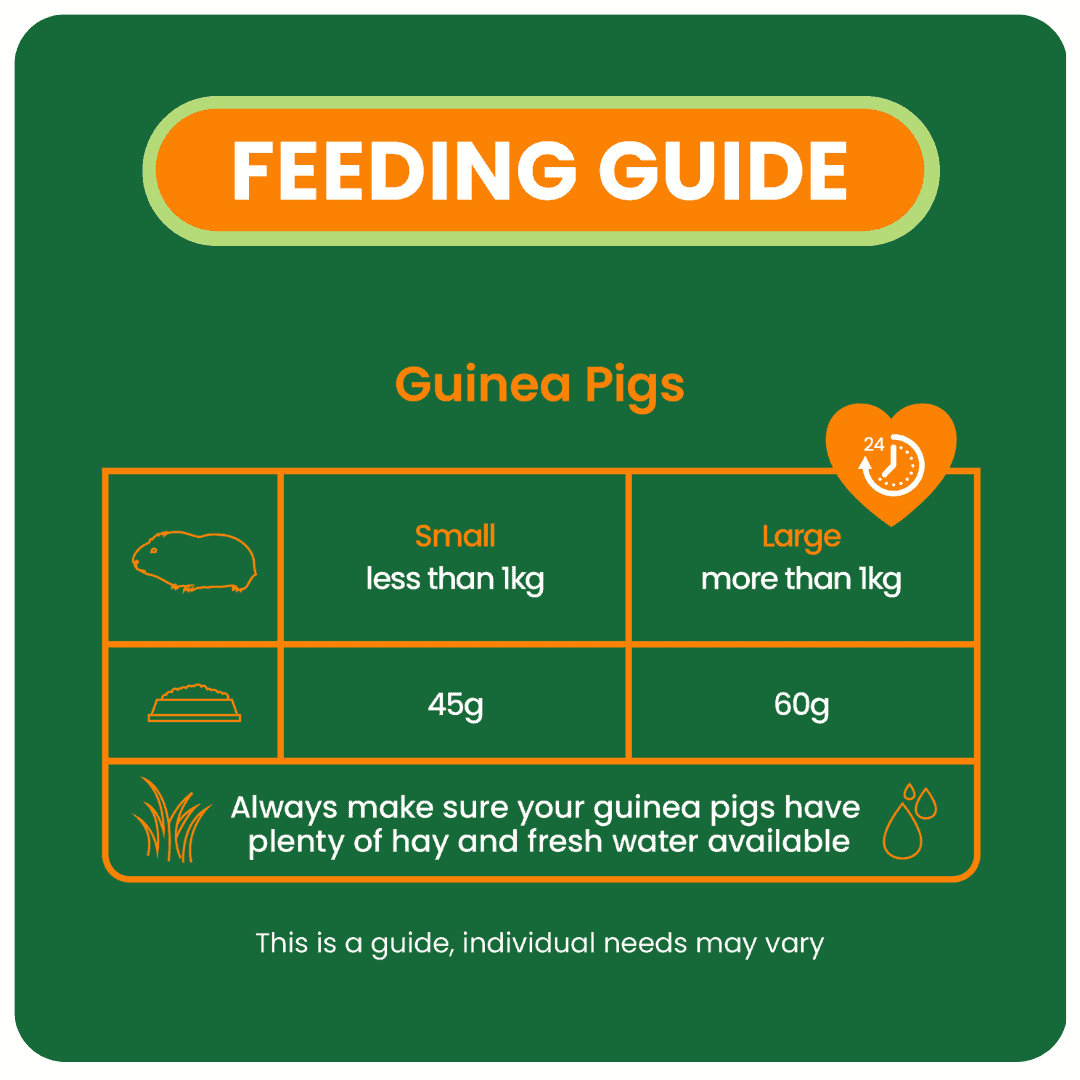 Excel Guinea Pig Nuggets with Mint product image