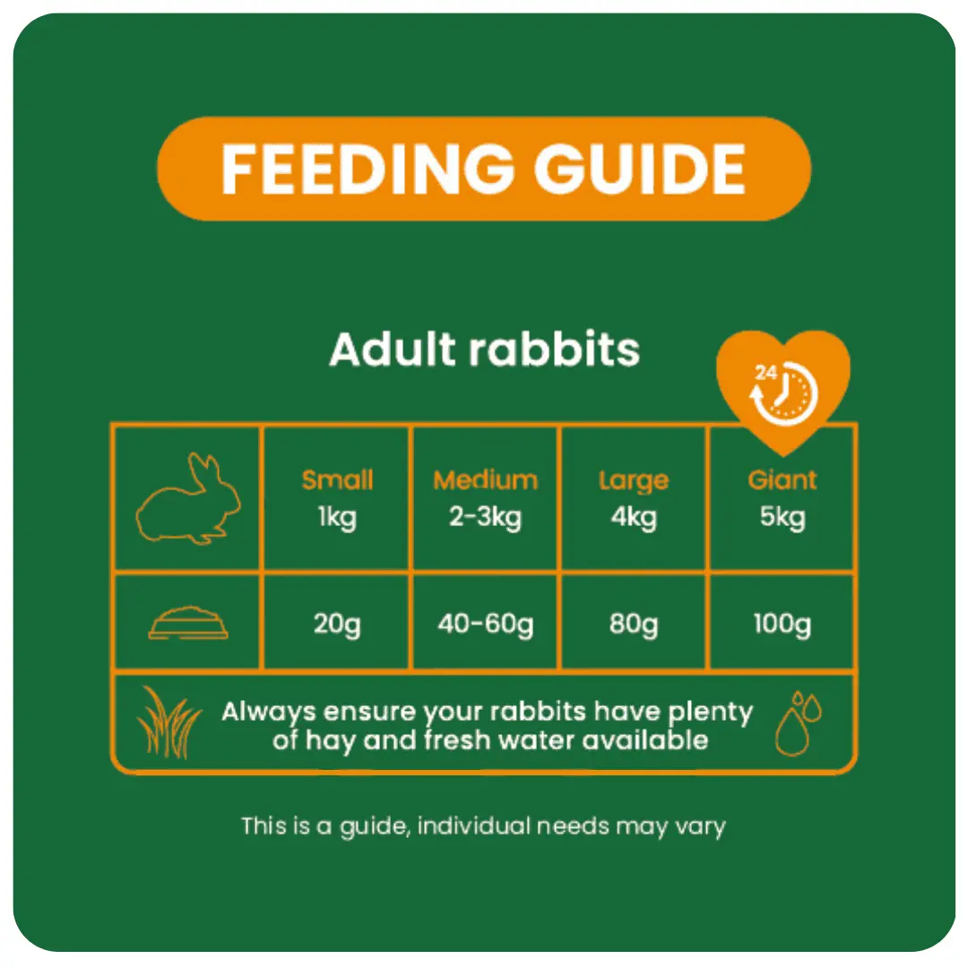 Excel Indoor Rabbit Nuggets with Dandelion & Nettle product image