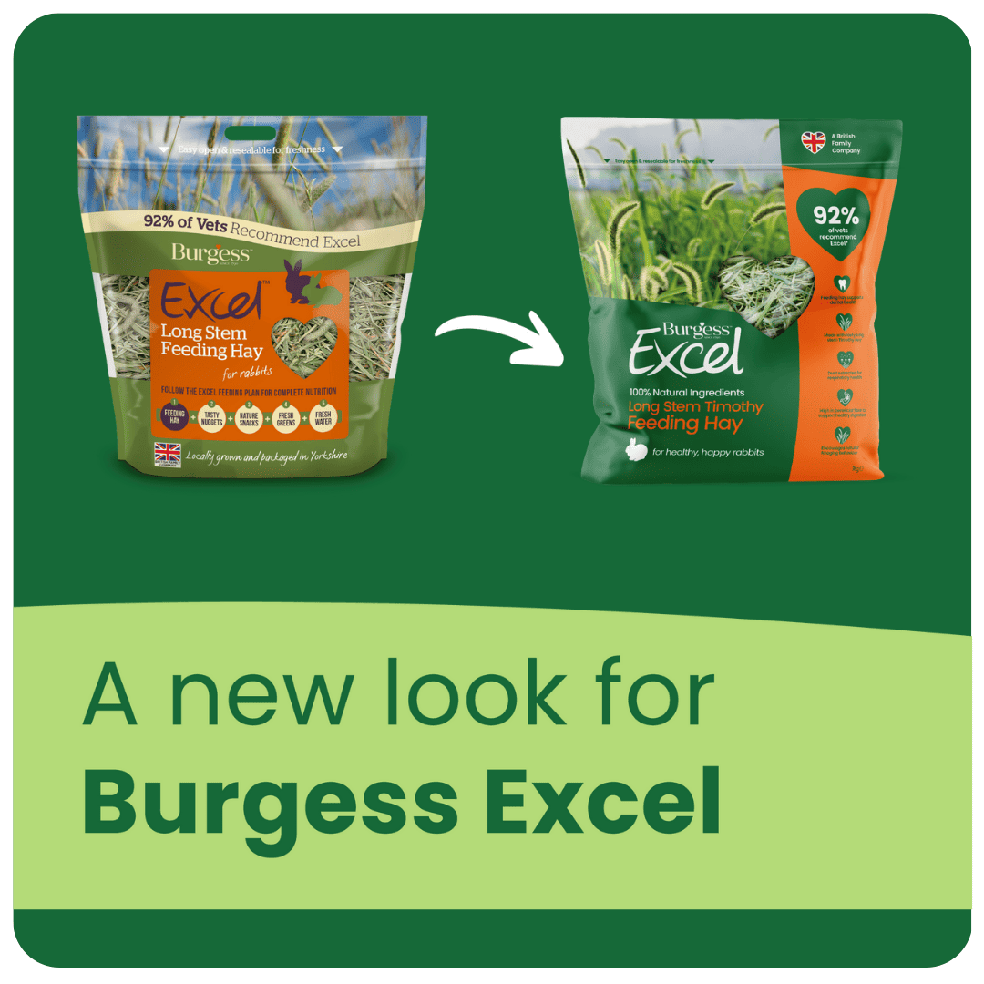 Excel Long Stem Feeding Hay Burgess Pet Care