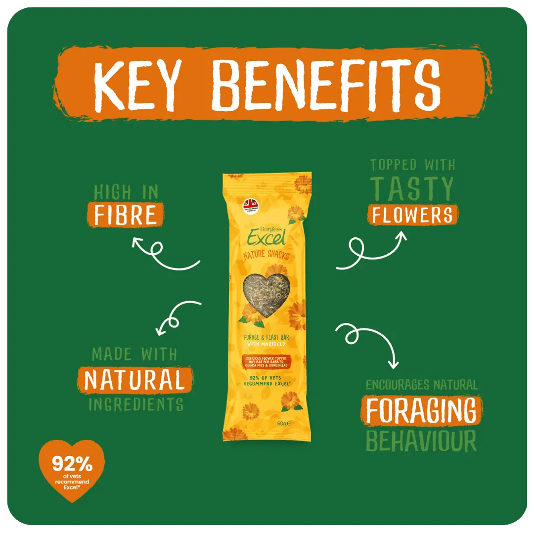 Excel Forage & Feast Hay Bar with Marigold product image